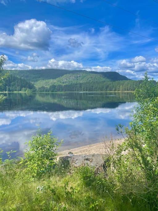 Sjarmerende Hus I Vennesla Exteriör bild