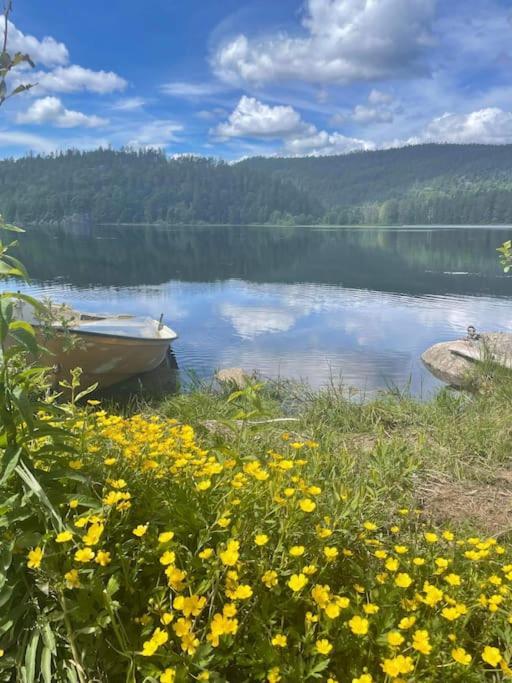 Sjarmerende Hus I Vennesla Exteriör bild